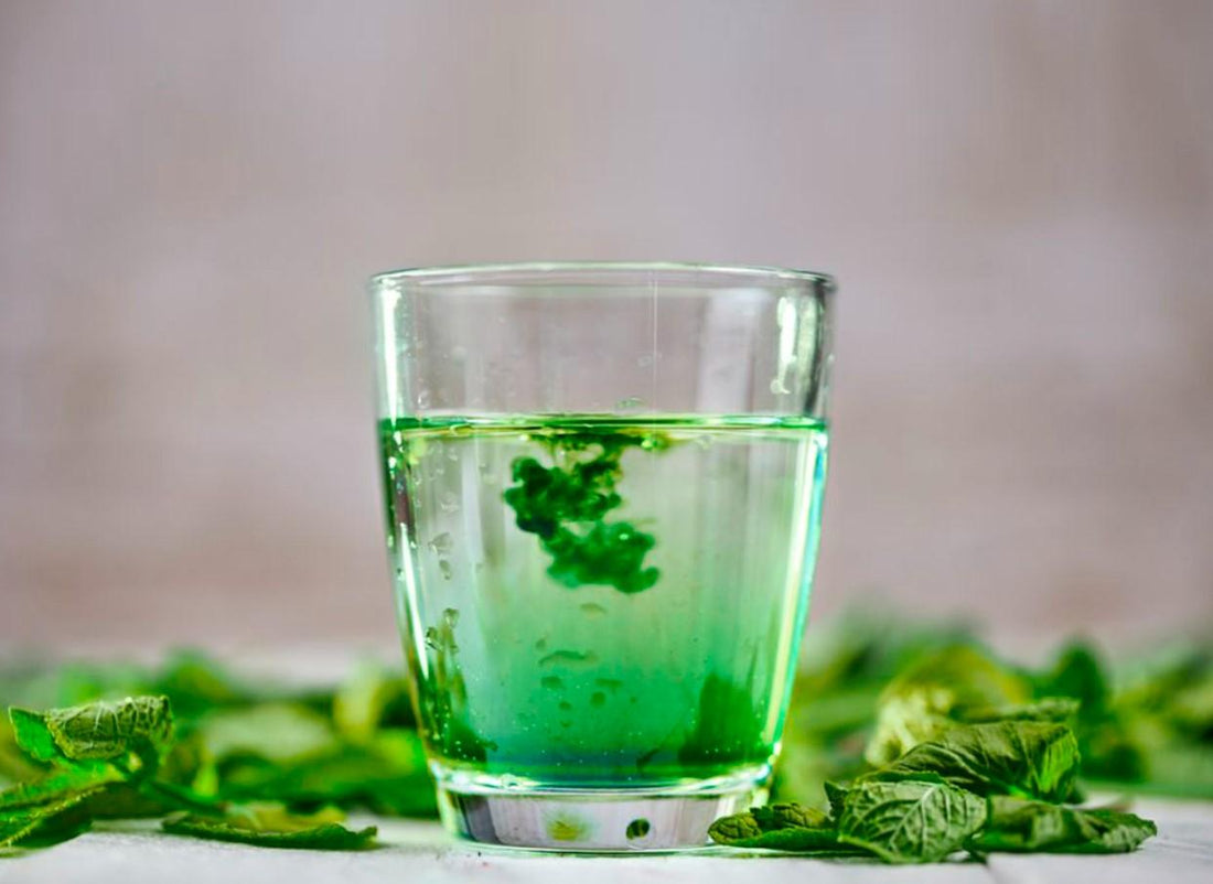 Beneficios de la Clorofila para Desintoxicar el Cuerpo