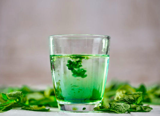 Beneficios de la Clorofila para Desintoxicar el Cuerpo