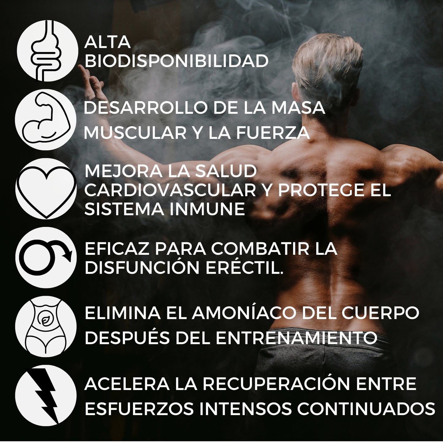 L-Citrulina, L-Ornitina, L-Lisina